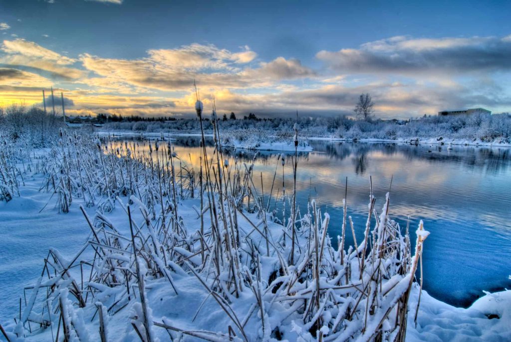 Deschutes River in Winter - snow covered weeds and high grass with a semi-frozen river in the background and gorgeous crisp blue cloudy skies.