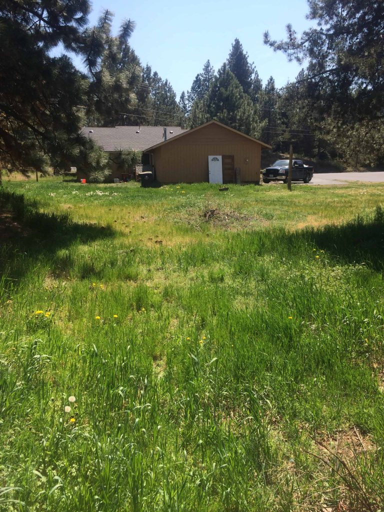 Large open backyard