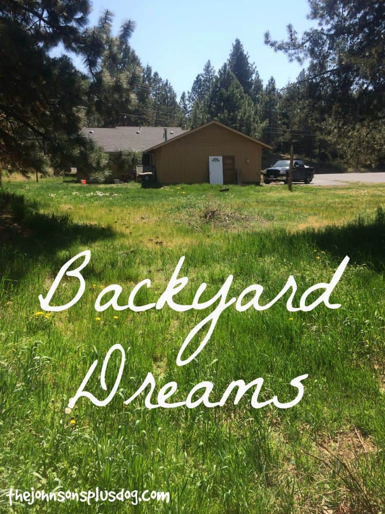 Backyard Dreams