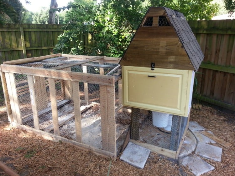 Chicken Coop for 