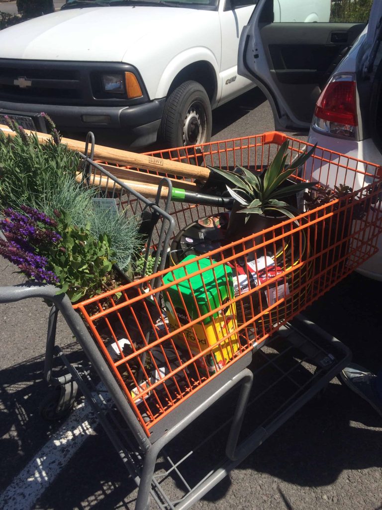 Supplies for our flower bed transformation