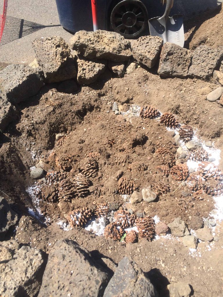 pinecones, rocks, and other drainage materials added to the bottom of a raised garden bed before succulents were planted