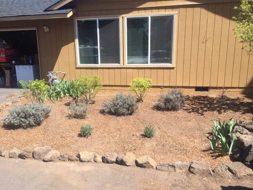 How we transformed our flower bed using dark mulch