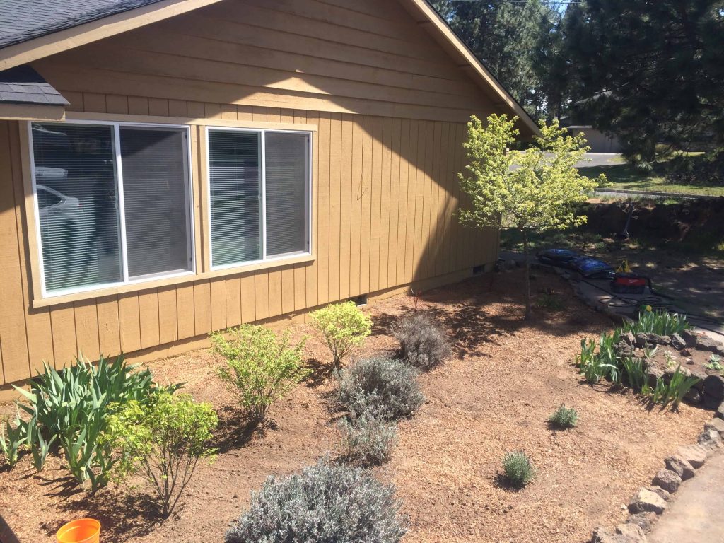 How we completely transformed our flower bed