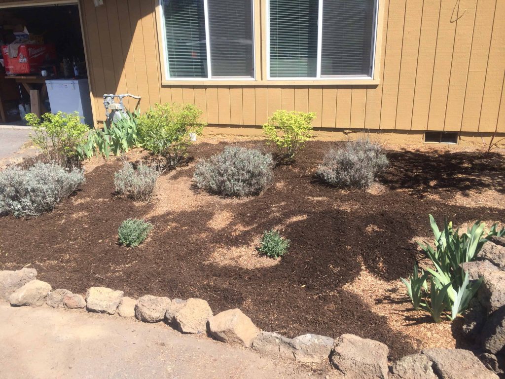 Using dark mulch makes a huge difference on this flower bed