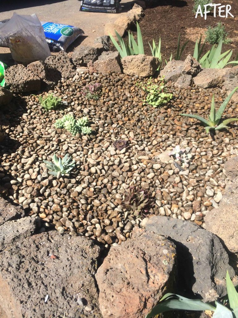 small succulents in a raised flower bed, with the remaining area covered in small smooth river rocks