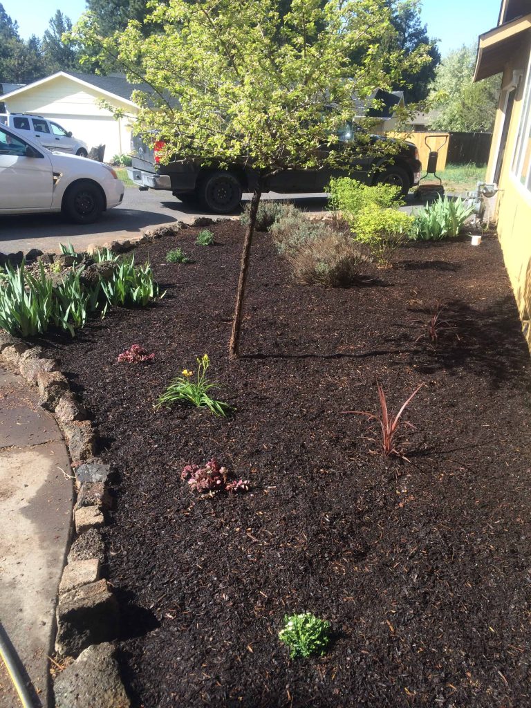 How we transformed this flower bed in just one day! 