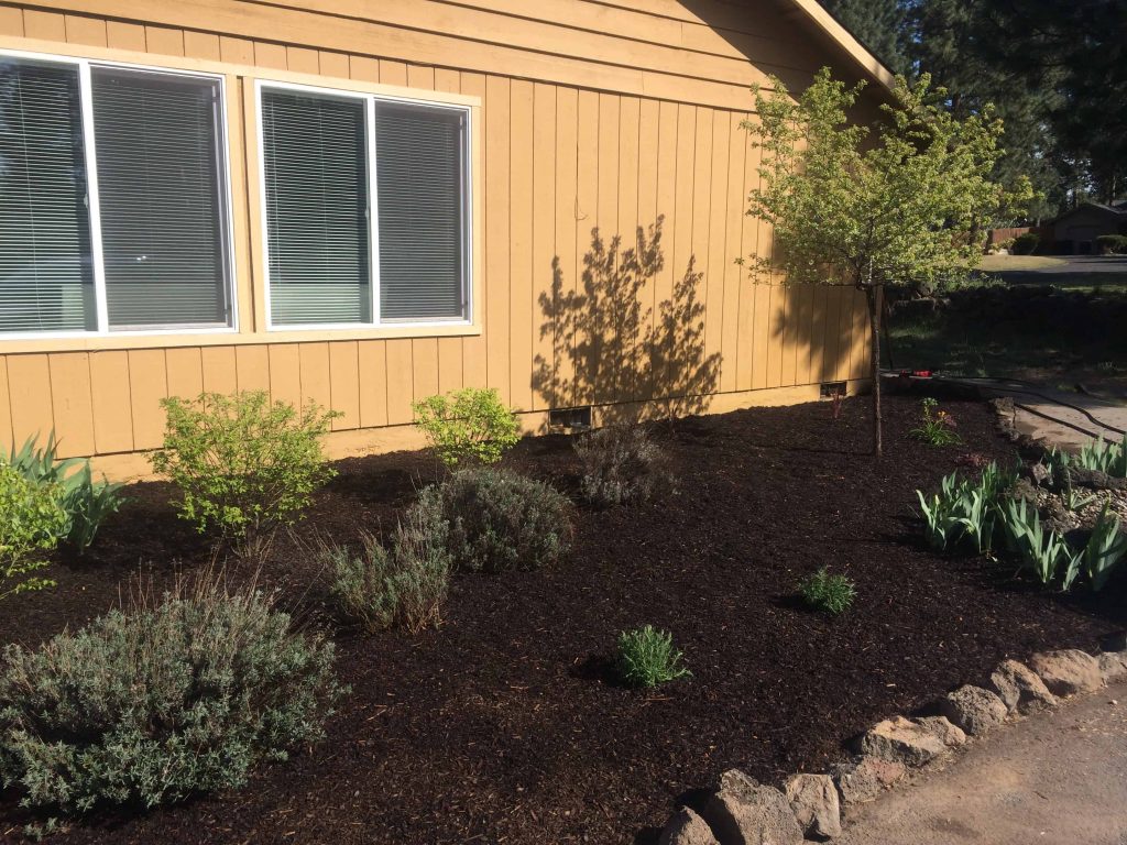 Easy DIY fix to refresh any flower bed = black mulch!