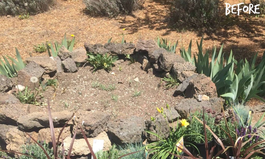 a small stone lined garden bed with mostly weeds growing in it before succulents were planted