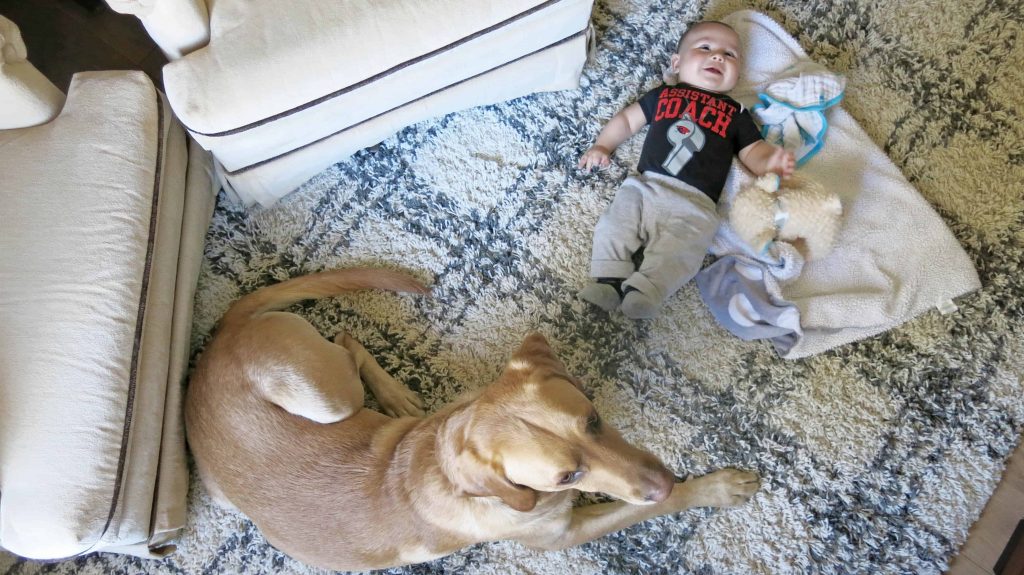 a baby and a dog laying on a white and blue plaid carpet