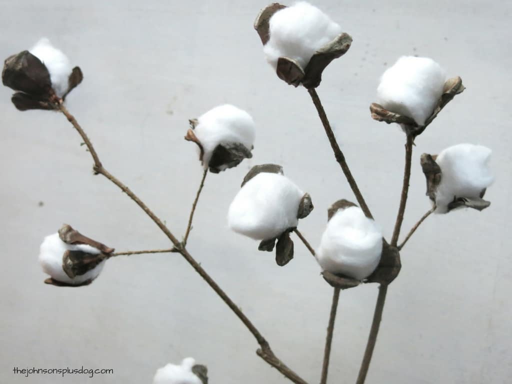 It's so easy to make these faux cotton stems with just a few simple supplies, and they're SO affordable too!