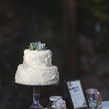 Cake table decor | the johnsons plus dog