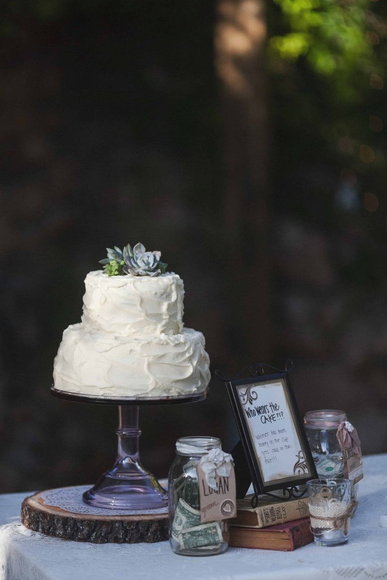 Cake table decor | the johnsons plus dog