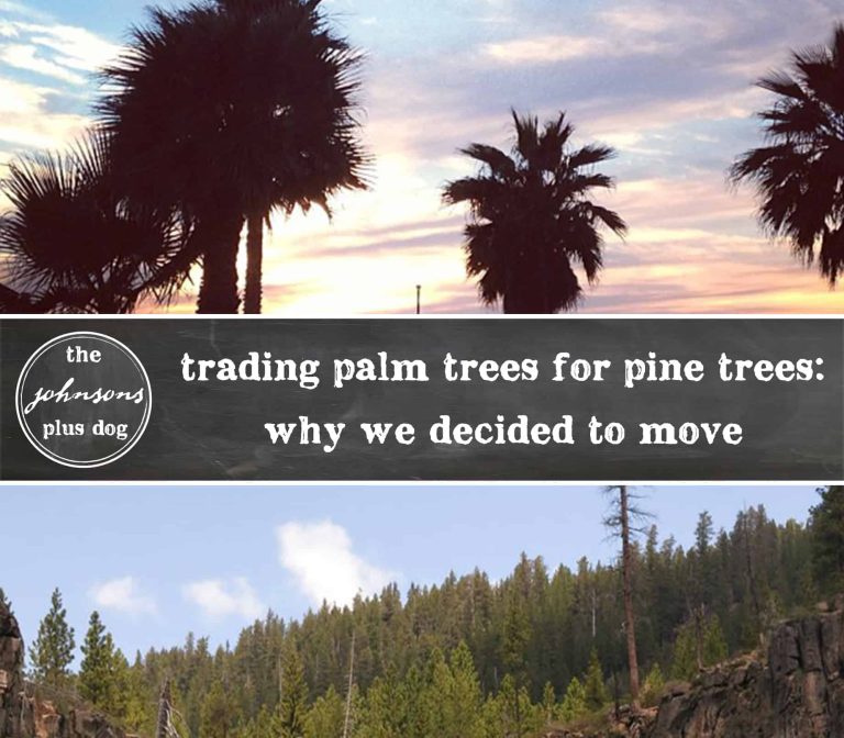 trading palm trees for pine trees | why we decided to move | the johnsons plus dog