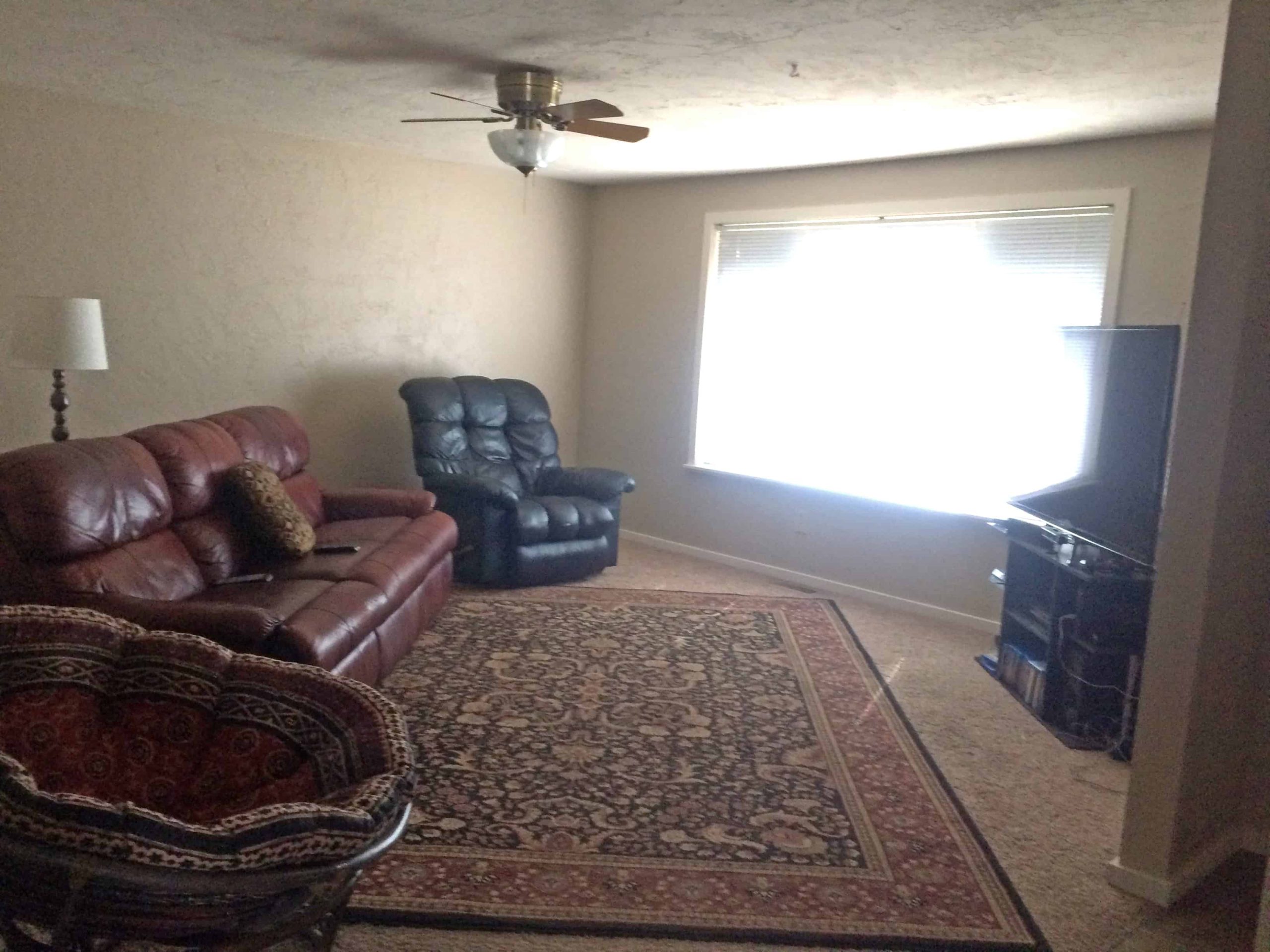 A plain living room with tan walls, tan carpets with an area run, seating, and an entertainment center. A large window in the middle of a wall is covered with accordion blinds.