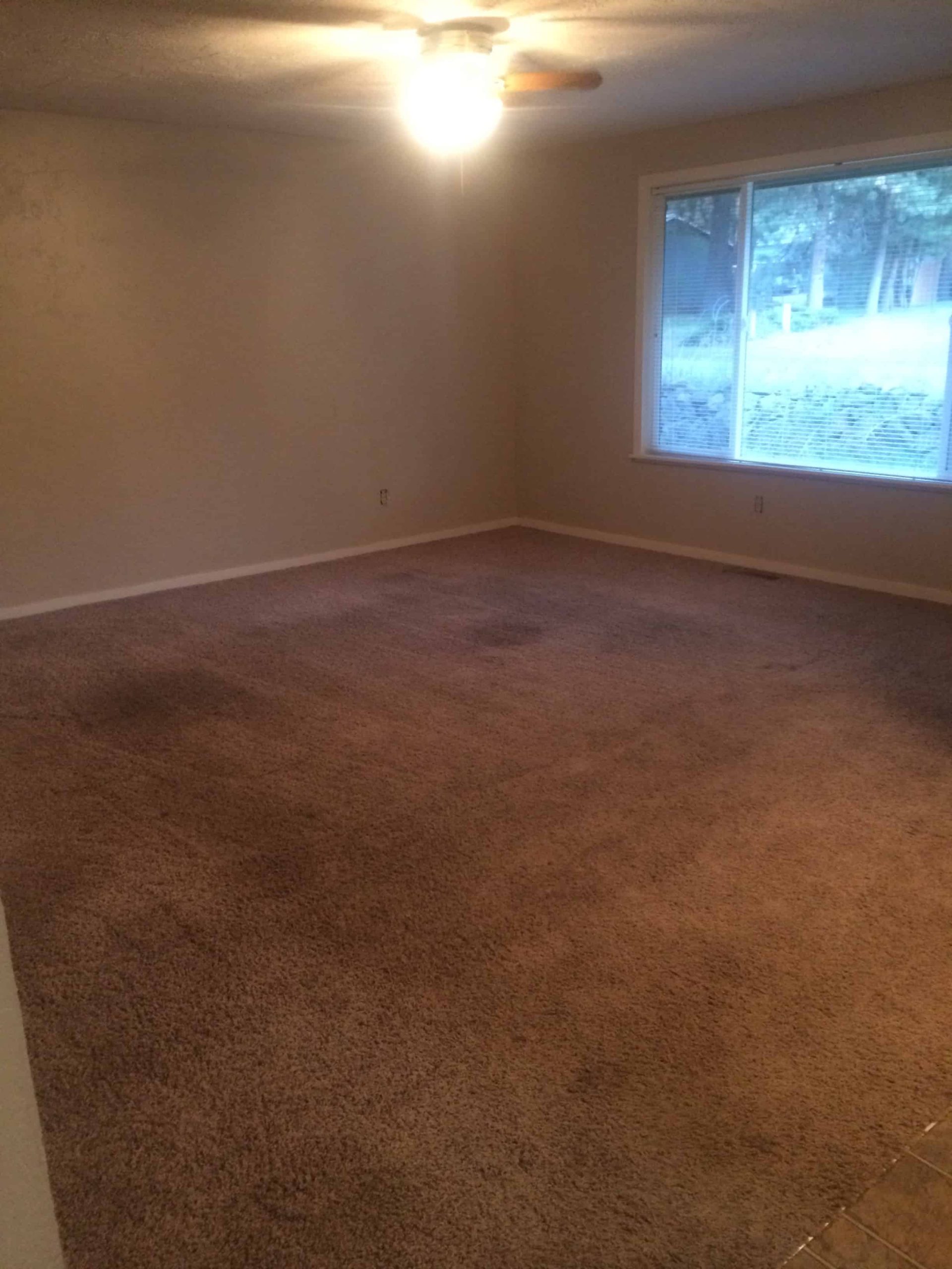 An empty living room with dirty brown carpet and tan walls, a ceiling fan, and large window with no curtains.
