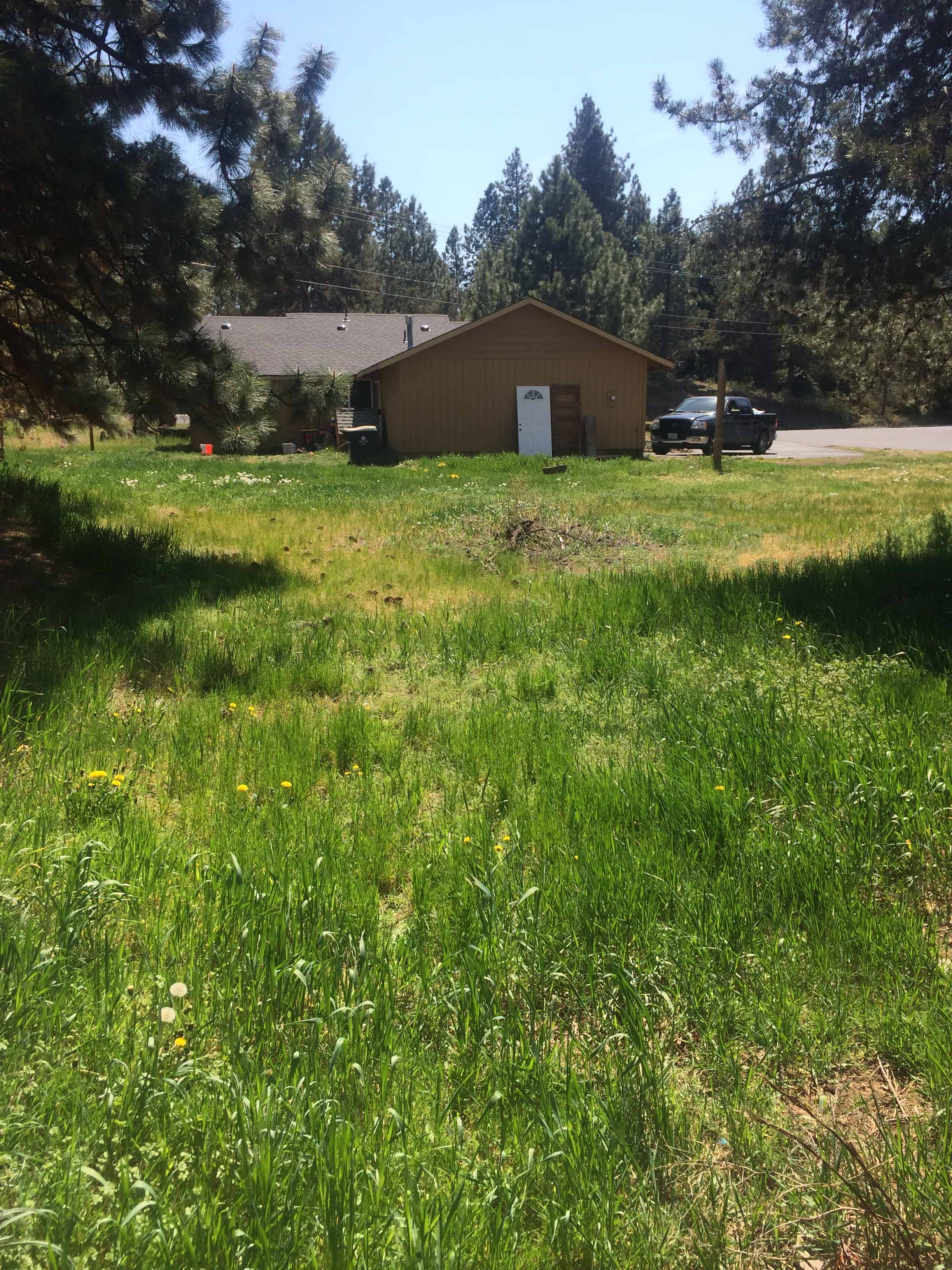 The large, open backyard of our first fixer upper home was basically just a field of weeds before we updated it.