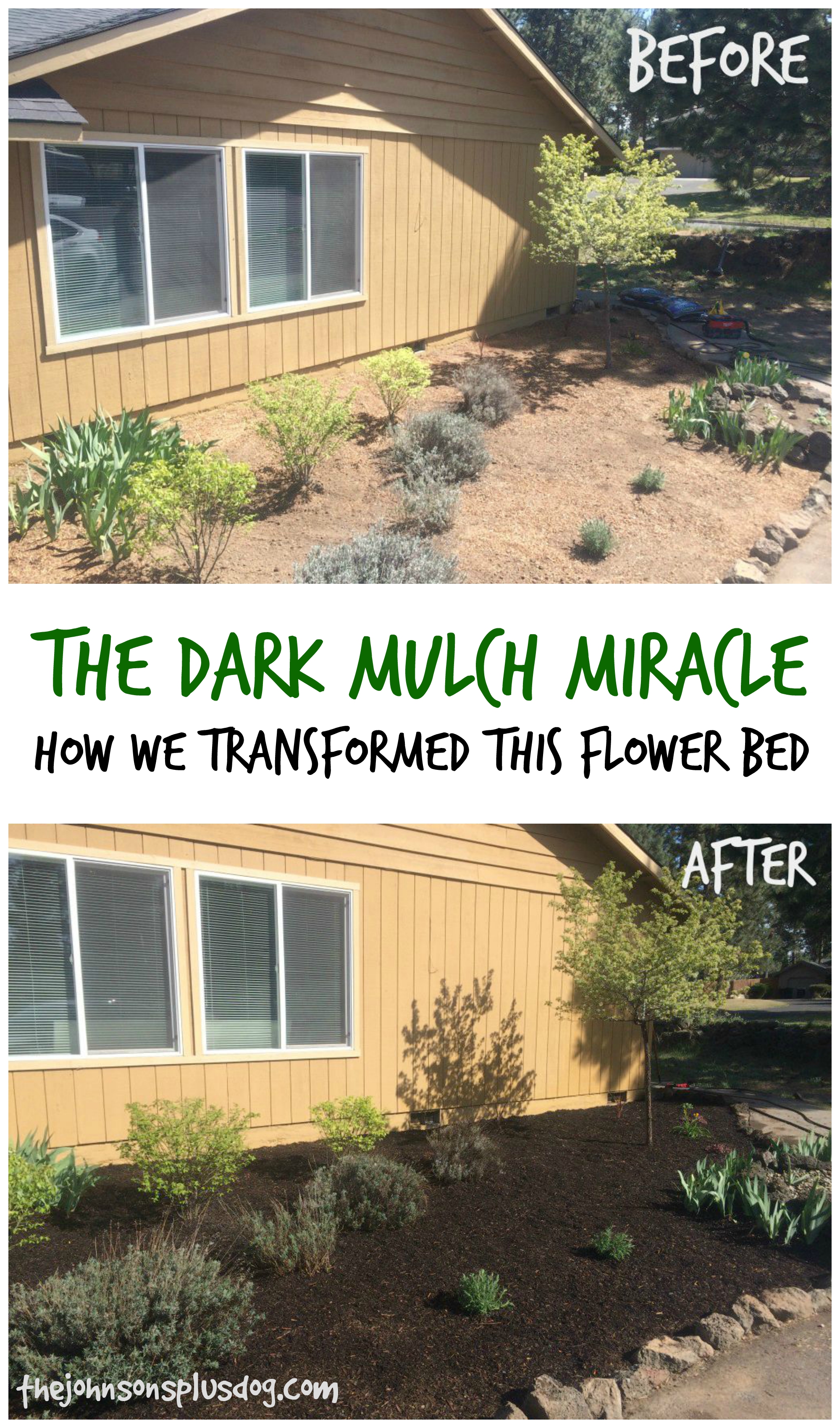 Before and after photo of the outdoor flower bed update, transformed with new plants and fresh dark mulch.