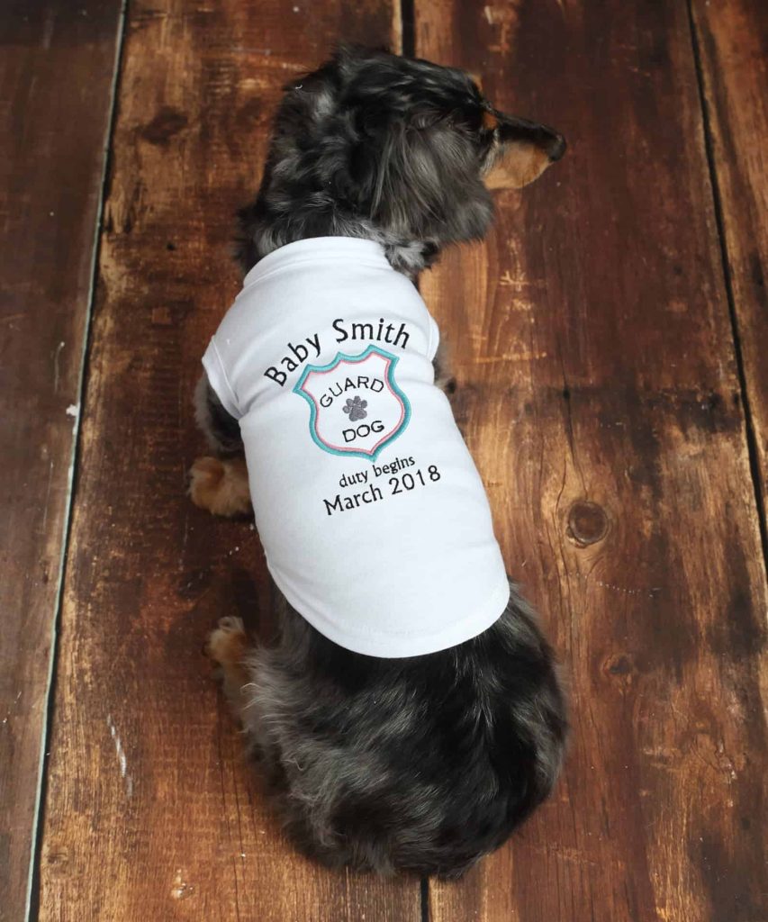Small dog wearing stretchy t-shirt with customized screen print on it that says baby smith guard dog duty begins march 2018 as a pregnancy announcement with your dog