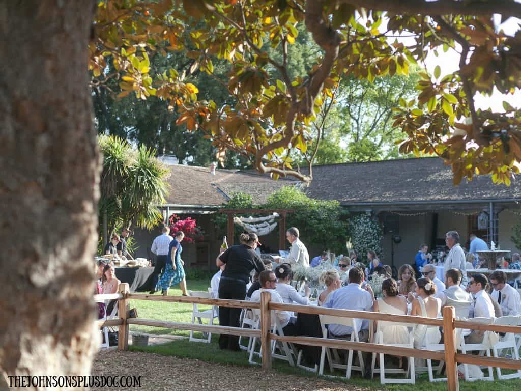 picture of outdoor wedding with large tables being served by wedding catering servers 
