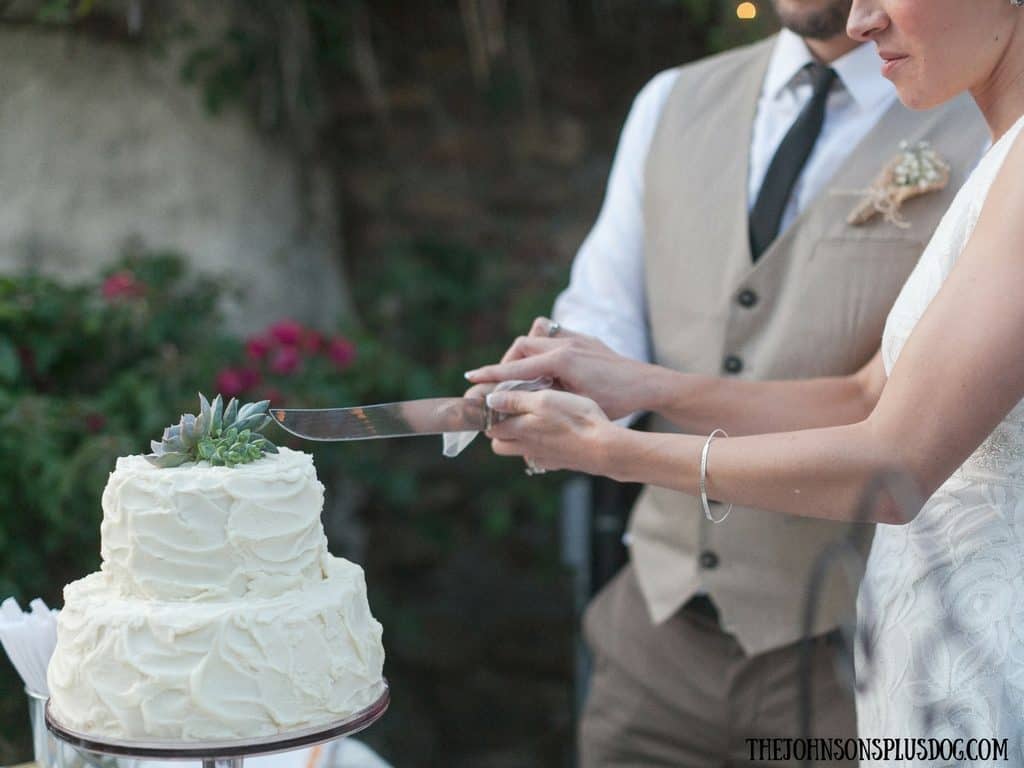 Bride and groom cutting wedding cake at an outdoor wedding, cake has white frosting and is topped with succulents