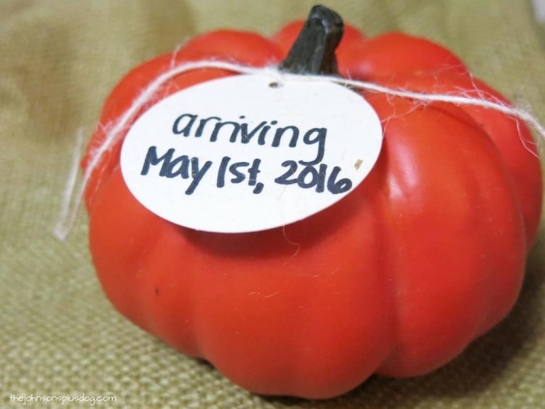 Fall Pregnancy Announcement