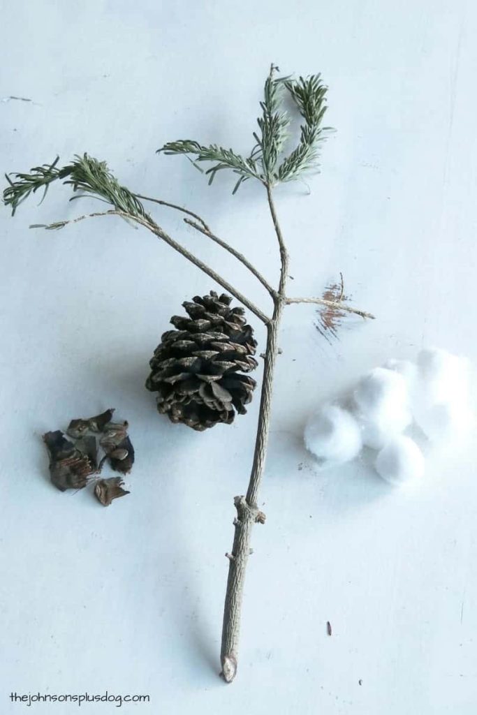 All you need to make DIY cotton stems are some tree twigs, pinecones, and cotton balls