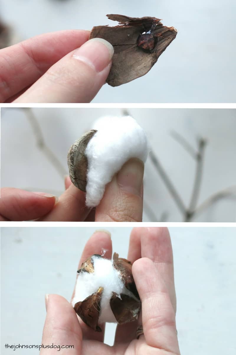 Here we are using pine cone pieces to make faux cotton seeds by gluing the pine cone pieces to a single cotton ball