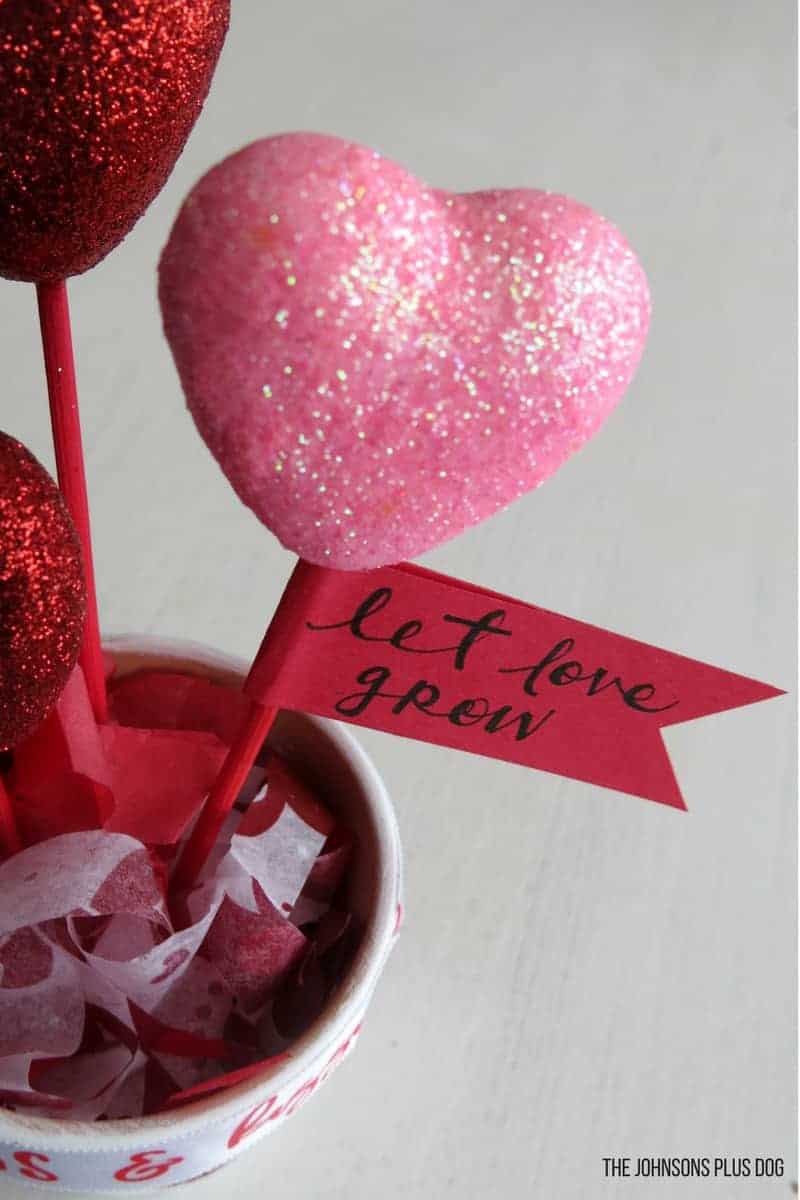 Attach your sweet Valentine's day gift tag to one of your heart flowers in your Valentine's day flower pot