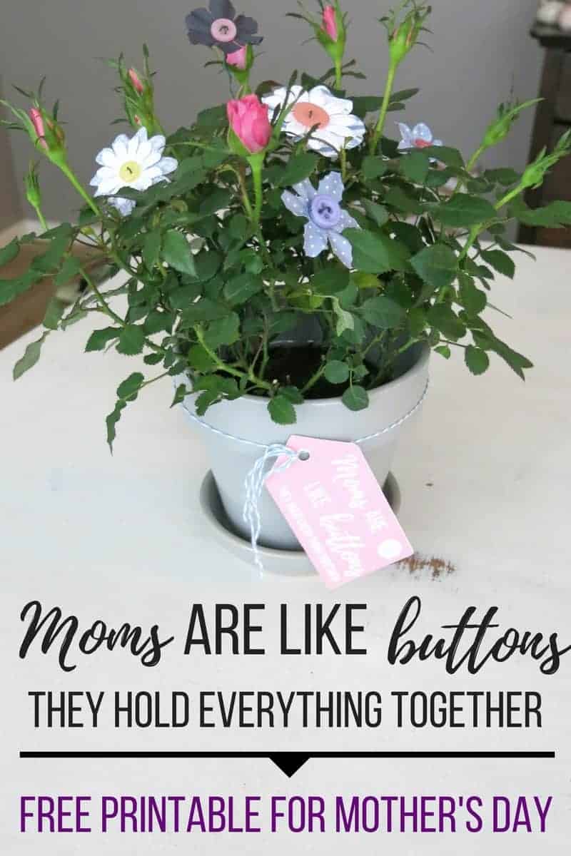 Learn how to make this easy and kid-friendly Mother's Day craft gift idea: a potted rose plant decorated with DIY button flowers, and a gift tag that reads 