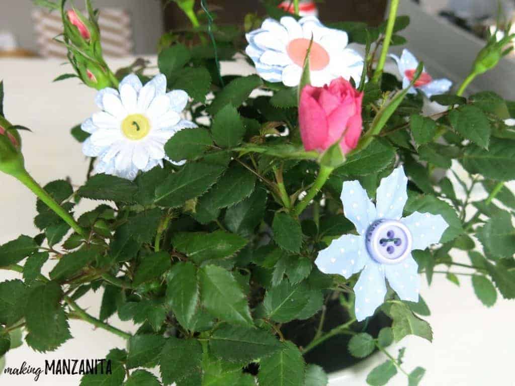 A close up look at the DIY button flowers stuck into a potted plant with flower bulbs. This is one part of our 