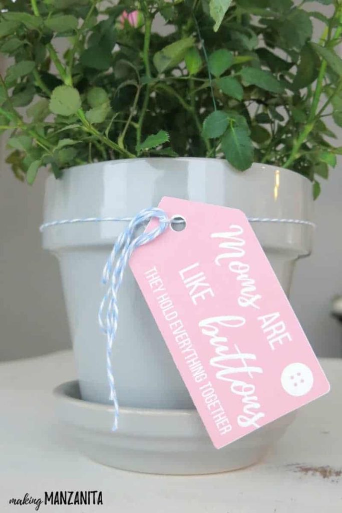 A pink gift tag that says "moms are like buttons, they hold everything together" tied to a potted plant with blue and white string.