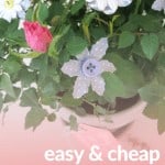 Button flowers sticking out of potted rose bush with text overlay that says easy and cheap Mother's day gift