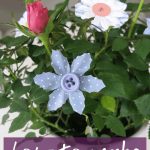 Potted plant with DIY buttons flowers sticking out of it on a white counter with text overlay that says how to make button flowers