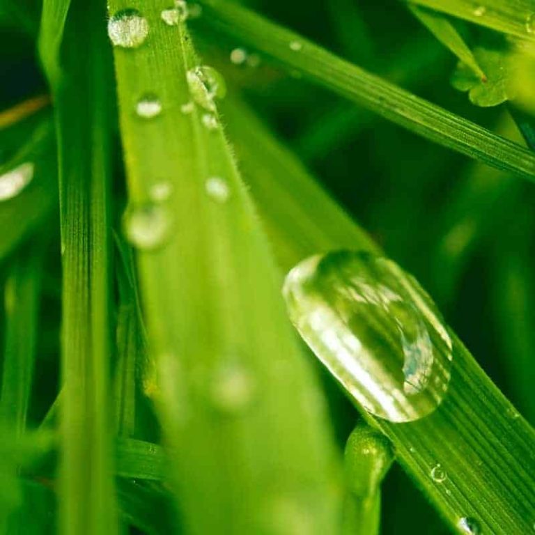 Everything You Need To Know About Installing Your Own Sprinkler System (Part 1: Planning)