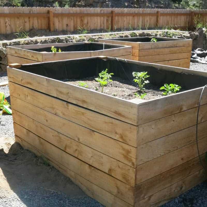 DIY Cedar Boards Raised Garden Beds | CHEAP & EASY 