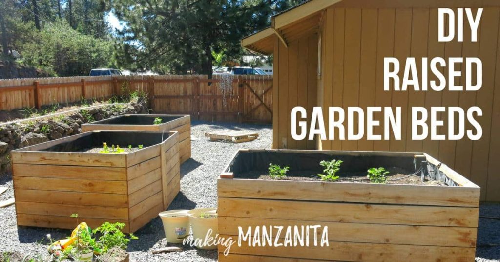 raised garden bed build with cedar fence boards in the backyard beside the house with text overlay that says DIY raised garden beds and Making Manzanita logo
