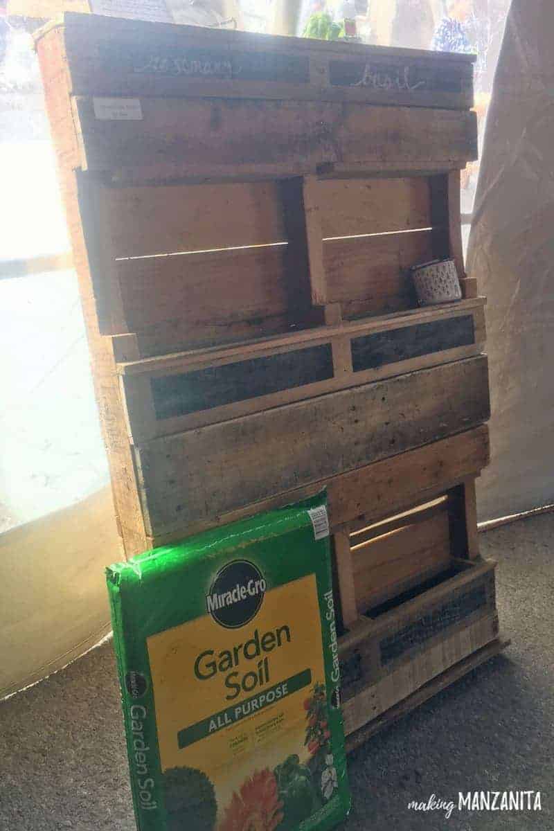 Our completed vertical pallet garden, before filling all the shelves. The top two shelves will be planted with rosemary and basil.