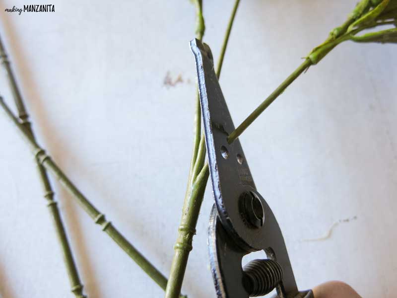 Use a wire cutters to detach the faux tea leaves from the stems