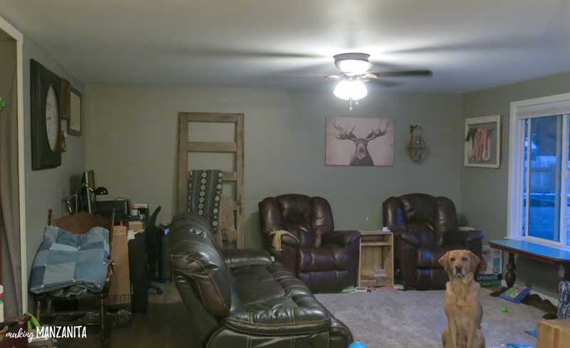 a shot of a living room with a dog sitting in the middle, surrounded by various rustic decor, two cushy recliners, and a similarly comfortable looking couch