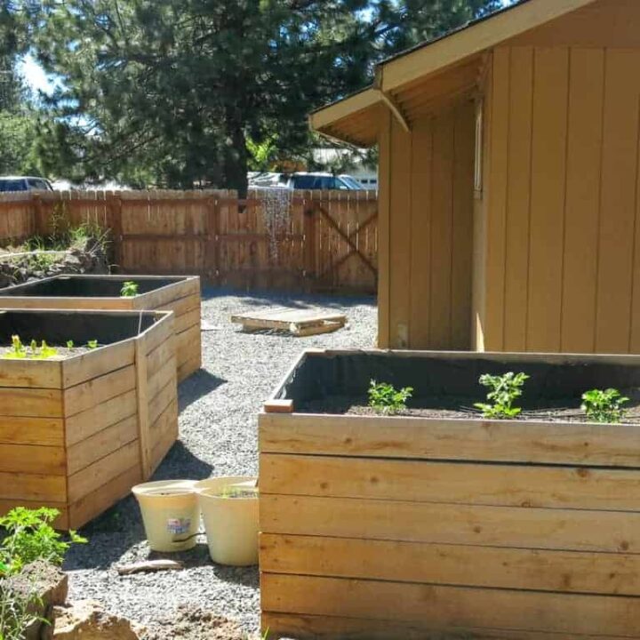 How To Build DIY Cedar Raised Garden Beds