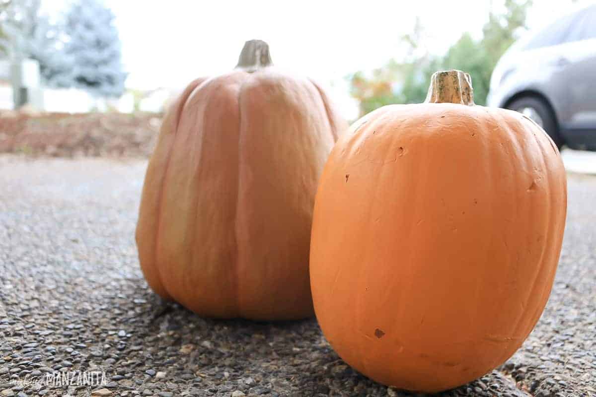 Orange carvable craft pumpkins sitting on ground and make this a white pumpkin decor