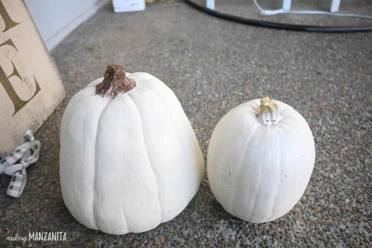 white pumpkin decor sitting side by side. One has brown painted stem and one stem hasn't been painted.