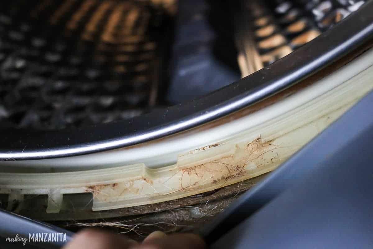 Dirt, hair, and mildew build up long the inside of the washing machine basket, under the waterproof stripping.
