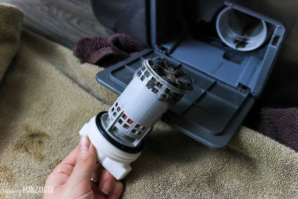Removing the dirty washing machine filter.