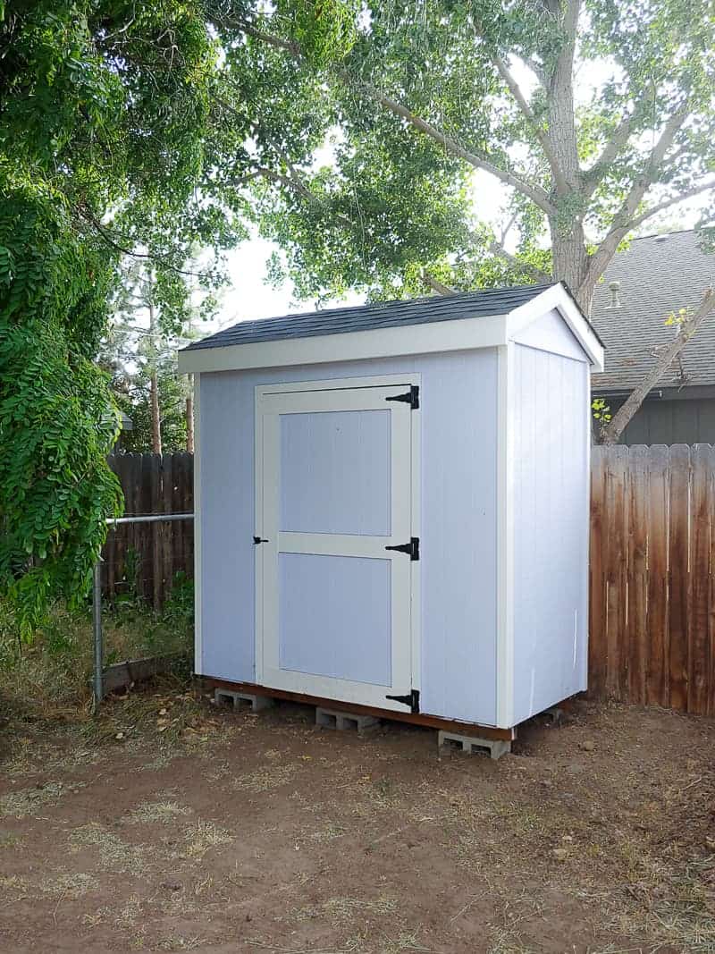 A full look at the new backyard shed we built for additional storage. The shed is small and painted white with a single door.