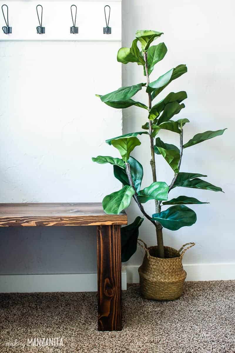 Small Entry bench and a fiddle leaf fig plant beside it.