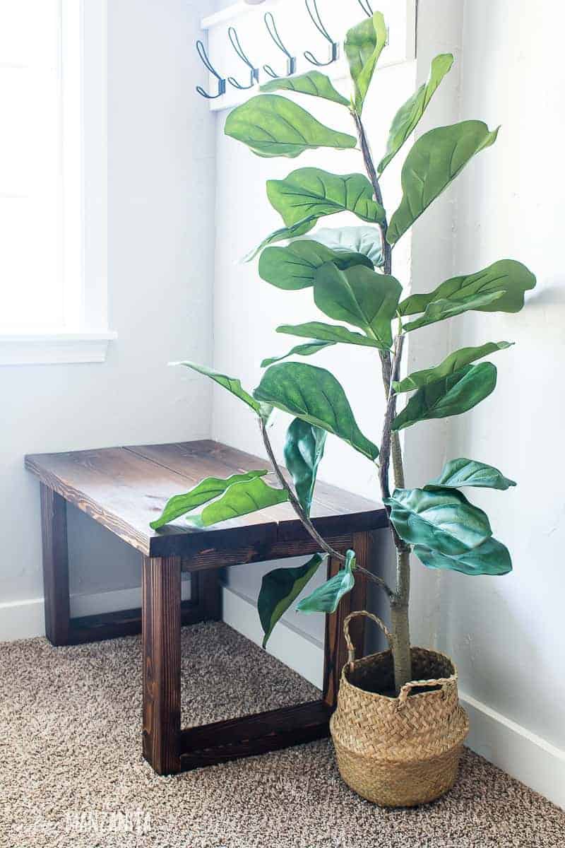 Side shot of the bench and indoor faux fiddle leaf fig tree in a belly basket