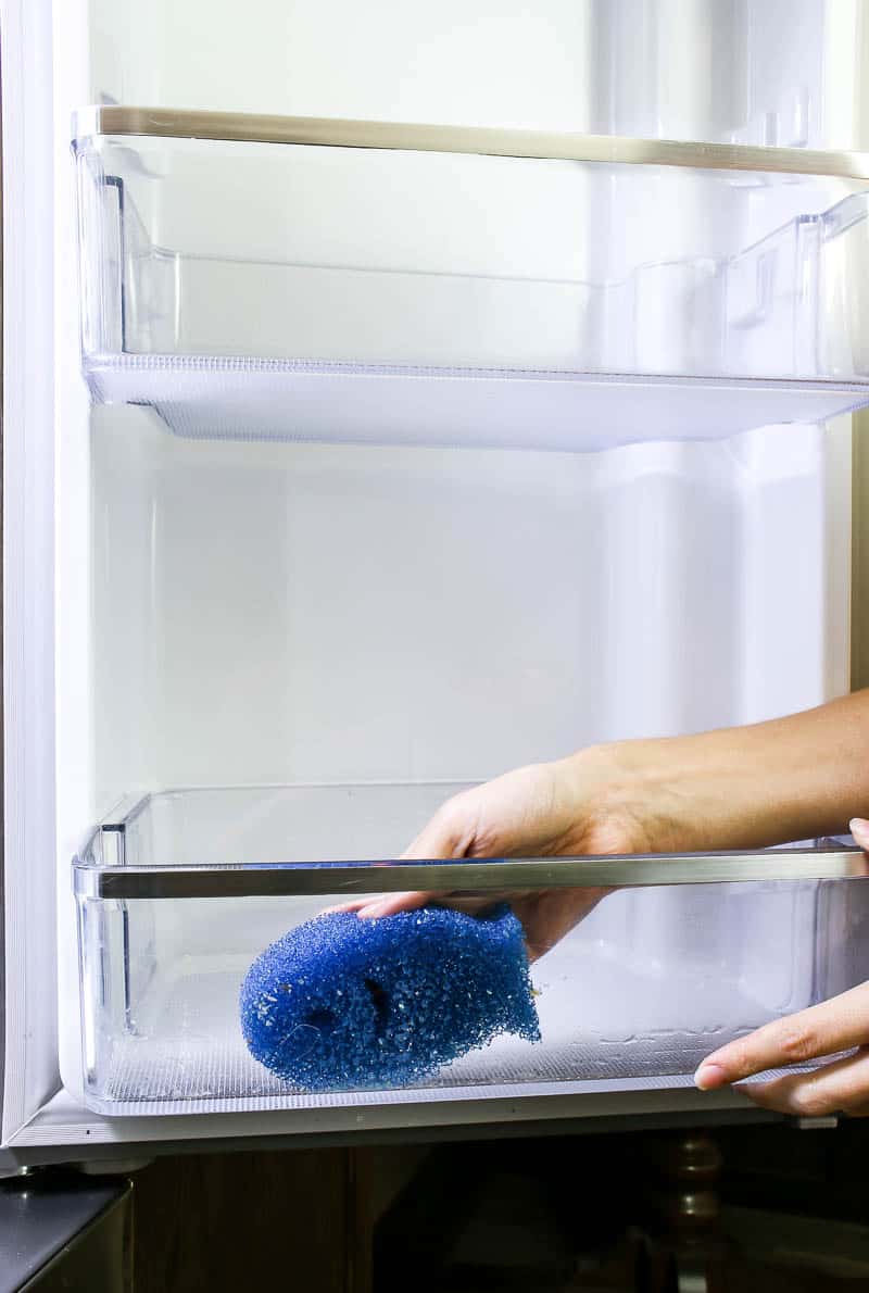 Wiping out the dirt inside the refrigerator surface on the inside of the doors during a fridge clean out