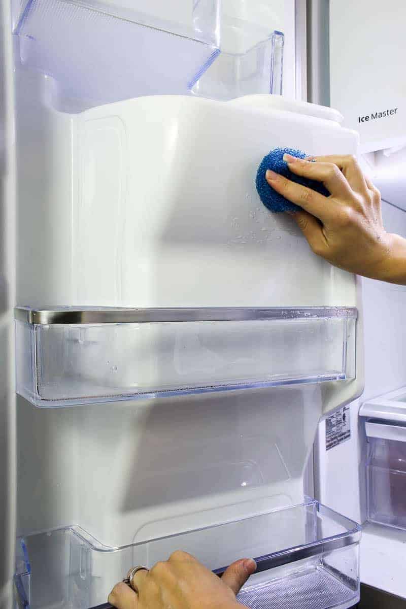 refrigerator cleaning using the DishFish scrub to wash the inside panels of the refrigerator door